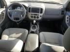 2006 Ford Escape XLT