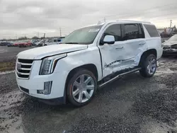 Salvage cars for sale at Eugene, OR auction: 2018 Cadillac Escalade Premium Luxury