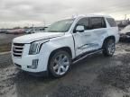 2018 Cadillac Escalade Premium Luxury