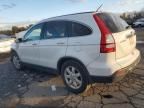 2007 Honda CR-V EXL