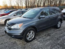 Honda salvage cars for sale: 2011 Honda CR-V EXL