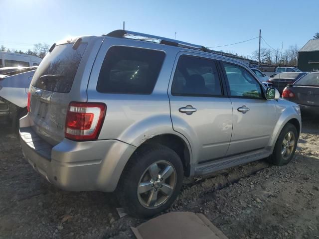 2011 Ford Escape Limited