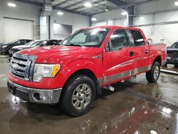 Salvage cars for sale at Ham Lake, MN auction: 2009 Ford F150 Supercrew