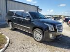 2020 Cadillac Escalade ESV Platinum