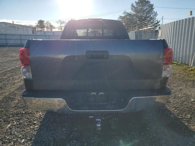 2010 Toyota Tundra Double Cab SR5