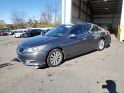 Salvage cars for sale from Copart Pennsburg, PA: 2013 Honda Accord EXL