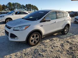 Ford salvage cars for sale: 2013 Ford Escape SE