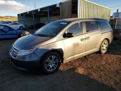 Salvage cars for sale at Colorado Springs, CO auction: 2012 Honda Odyssey EX