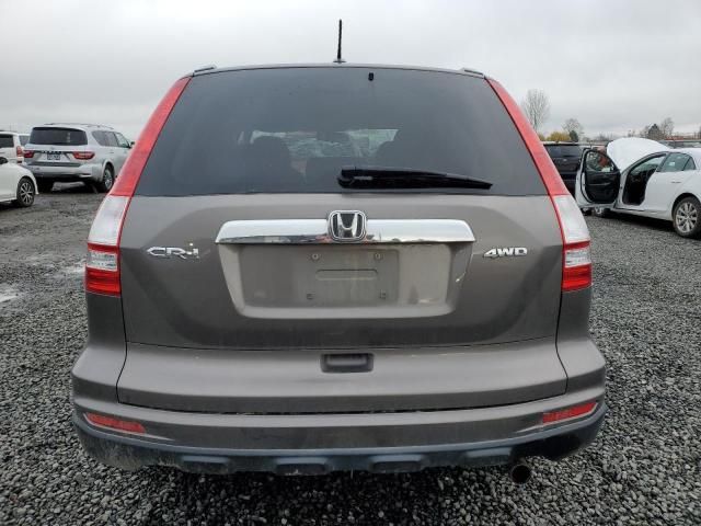 2010 Honda CR-V EXL