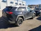 2021 Toyota Rav4 TRD OFF Road