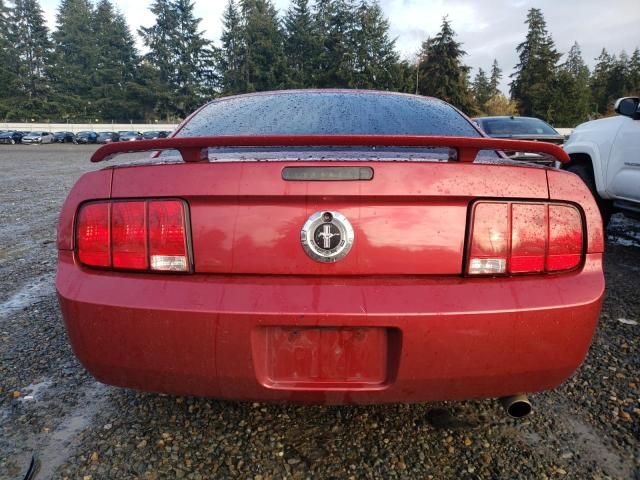 2005 Ford Mustang