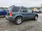 2005 Ford Escape XLT