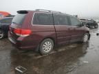 2010 Honda Odyssey EX