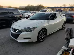 Nissan salvage cars for sale: 2016 Nissan Maxima 3.5S