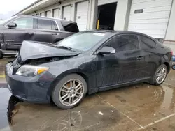 Salvage cars for sale at Louisville, KY auction: 2005 Scion TC