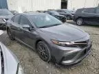 2024 Toyota Camry SE Night Shade