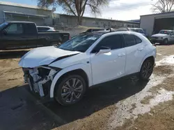 Salvage cars for sale at Albuquerque, NM auction: 2023 Lexus UX 250H Base