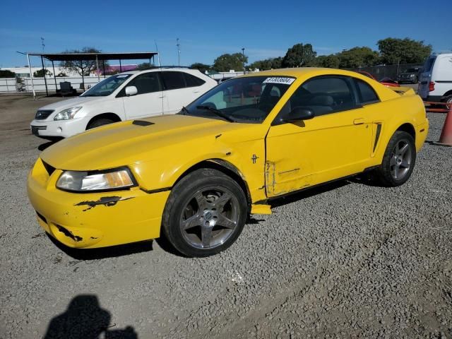 2000 Ford Mustang