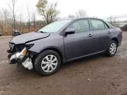 Toyota salvage cars for sale: 2010 Toyota Corolla Base