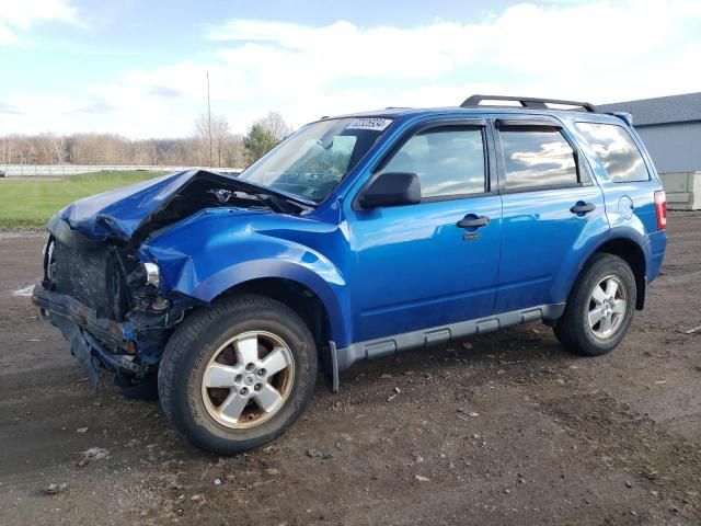 2012 Ford Escape XLT