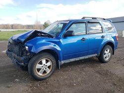 Salvage cars for sale from Copart Columbia Station, OH: 2012 Ford Escape XLT