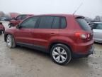 2009 Volkswagen Tiguan S