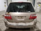 2005 Honda Odyssey EX