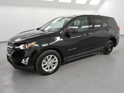 Chevrolet salvage cars for sale: 2019 Chevrolet Equinox LS