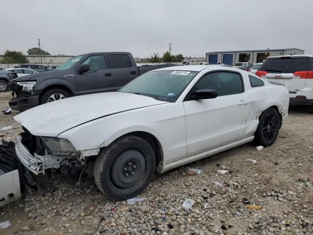 2014 Ford Mustang