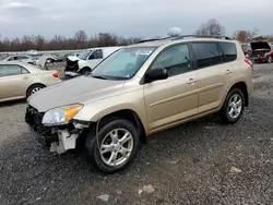 Salvage cars for sale at Hillsborough, NJ auction: 2011 Toyota Rav4