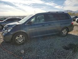 Honda salvage cars for sale: 2005 Honda Odyssey EXL