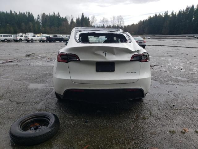 2020 Tesla Model Y