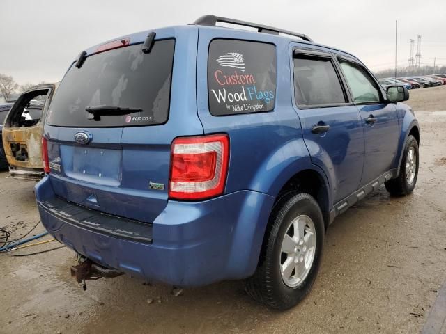 2010 Ford Escape XLT