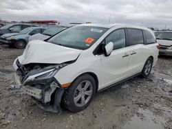 Honda salvage cars for sale: 2019 Honda Odyssey EXL