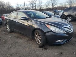 Salvage cars for sale at Marlboro, NY auction: 2011 Hyundai Sonata SE