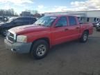 2006 Dodge Dakota Quattro