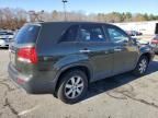 2011 KIA Sorento Base