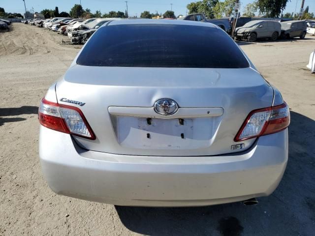 2009 Toyota Camry Hybrid