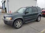 2003 Ford Escape XLT