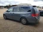 2010 Honda Odyssey EXL