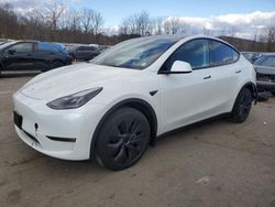 2024 Tesla Model Y en venta en Marlboro, NY