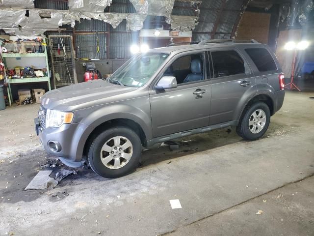 2011 Ford Escape Limited