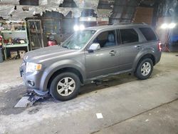 Salvage cars for sale at Albany, NY auction: 2011 Ford Escape Limited