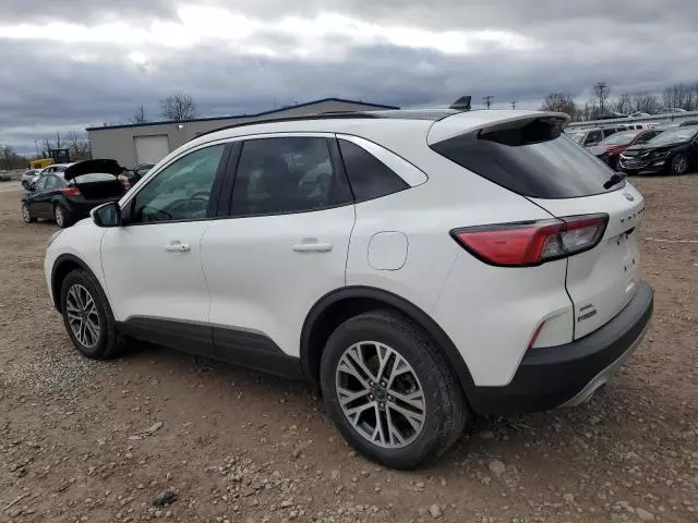 2021 Ford Escape SEL