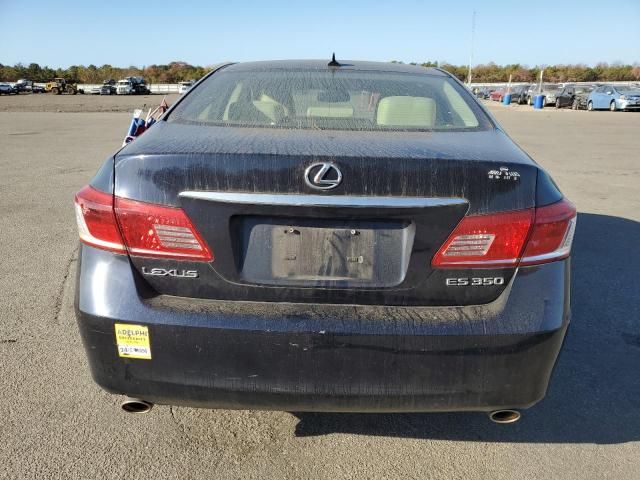 2010 Lexus ES 350