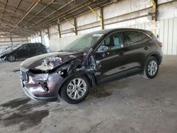 2023 Ford Escape Active en venta en Phoenix, AZ