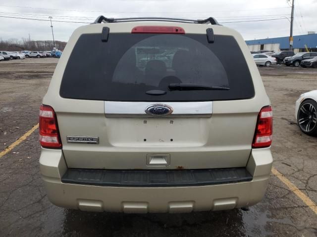 2010 Ford Escape Limited