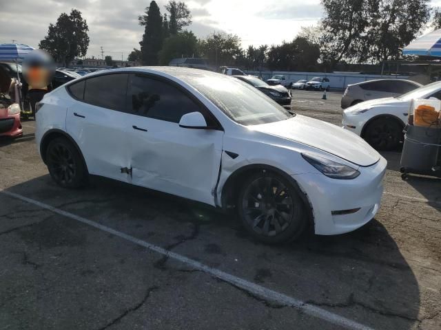 2020 Tesla Model Y