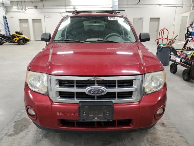 2009 Ford Escape XLT