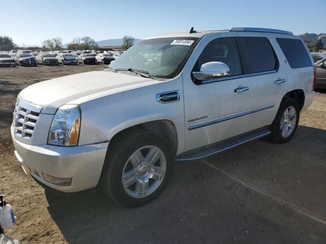 2010 Cadillac Escalade Hybrid